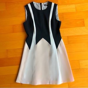 Classy BCBG fit & flare dress